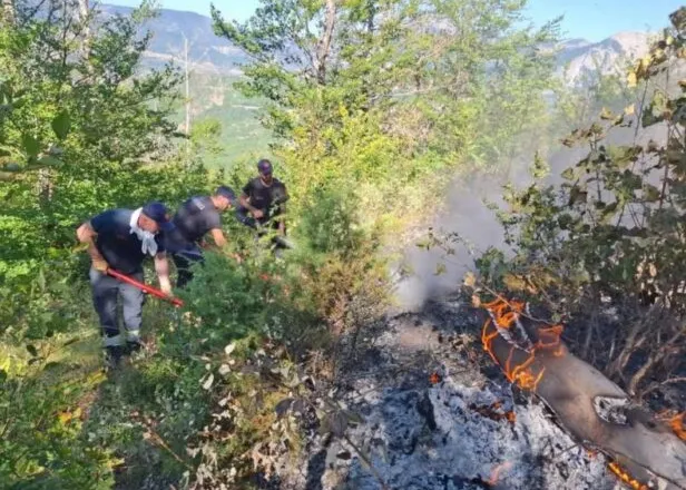 Shfrytëzimi i masivit pyjor/ Zjarri në Dardhë të Librazhdit del jashtë kontrollit, flakët vijojnë prej 6 ditësh