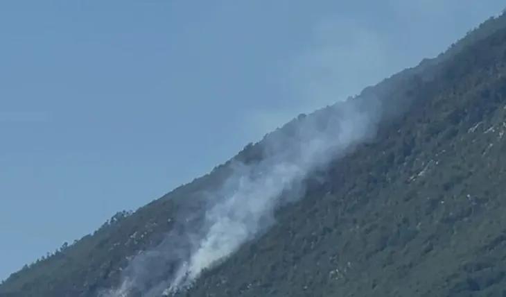 Shkrumbohen 8 hektarë pyje/ Zjarri në Qafë Mollë të Tiranës vijon prej 10 ditësh, nderhyhet me helikopter