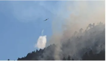 Shkrumbohen pishat e bredhat në Parkun e Lurës, në ndihmë për zjarret edhe dy avionë