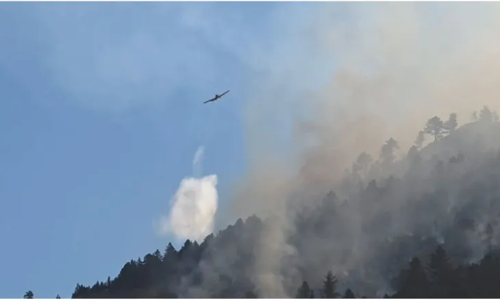 Shkrumbohen pishat e bredhat në Parkun e Lurës, në ndihmë për zjarret edhe dy avionë