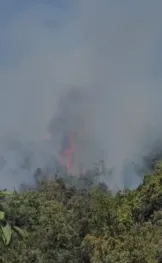 Shkrumbohet pylli/ Rikthehen zjarret në Krujë, dy vatra të reja ‘shpërthejnë’ në Krastë, dhe lagjen Abazaj