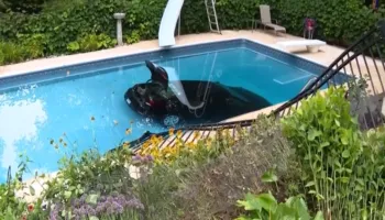 Shoferi humbi kontrollin e makinës, përfundon në fund të pishinës së fqinjit (VIDEO)