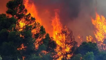 Shqipëria në “sezonin” e zjarreve, 30 vatra në 24 orë