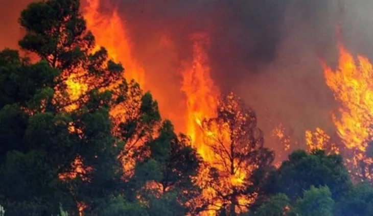 Shqipëria në “sezonin” e zjarreve, 30 vatra në 24 orë
