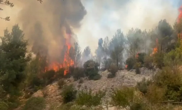 Shqipëria vijon të digjet/ 29 vatra në total, 11 aktive, situata më problematike në Gurë-Lurë