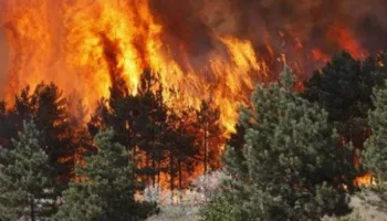 Shqipëria vijon të digjet/ 9 vatra aktive, Dajti dhe Gurë-Lura zonat më kritike
