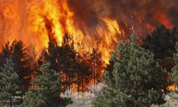 Shqipëria vijon të digjet/ 9 vatra aktive, Dajti dhe Gurë-Lura zonat më kritike