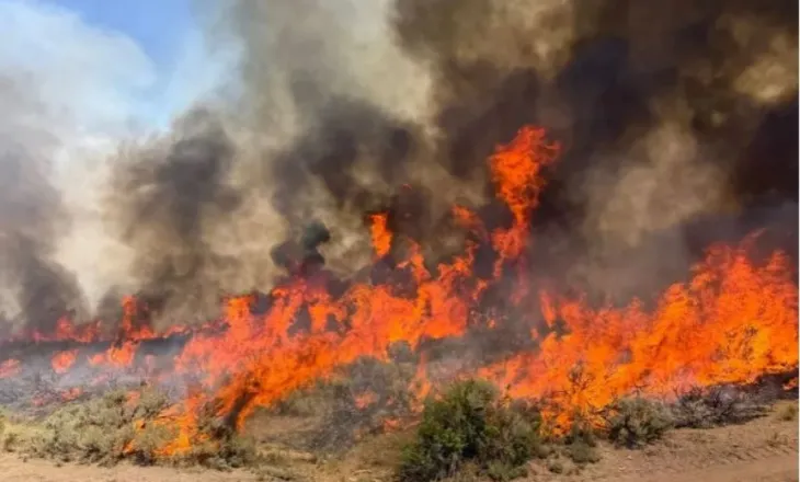 Shqipëria vijon të digjet/ Ja ku janë vatrat më aktive, zjarrfikësit në ‘luftë’ me flakët