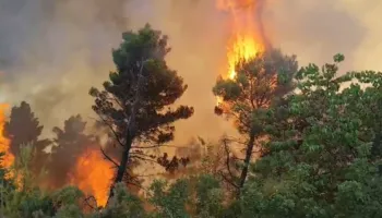 Shtatë vatra zjarri aktive në vend, Mallakastra në betejë më flakët, zjarri vijon të përhapet