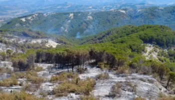 Shuhen dy vatrat e zjarrit në Drënie dhe Vlosh të Mallakastrës, lë pas sipërfaqe të tëra shkrumb e hi