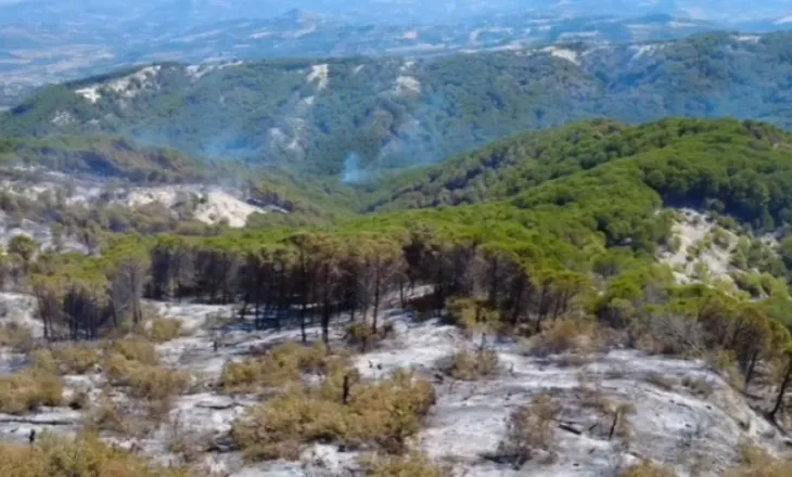 Shuhen dy vatrat e zjarrit në Drënie dhe Vlosh të Mallakastrës, lë pas sipërfaqe të tëra shkrumb e hi