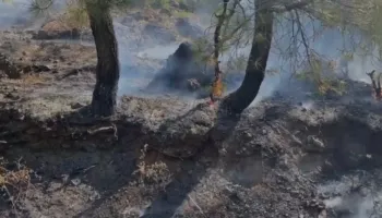 Shuhet zjarri në Vau i Dejës, vijojnë aktive vatrat në Fushë Arrëz, Rrenc e Malësi e Madhe