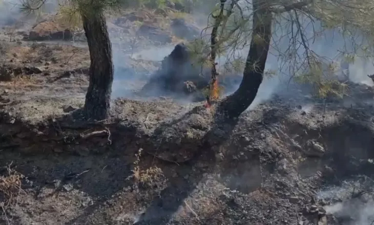 Shuhet zjarri në Vau i Dejës, vijojnë aktive vatrat në Fushë Arrëz, Rrenc e Malësi e Madhe
