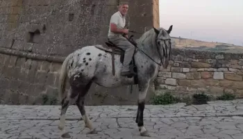 Shumë shtrenjtë të përdorësh makinën, 55-vjeçari në punë me kalë