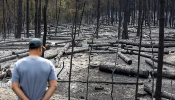 Si u përfshi Kosova në lajmet e rreme për zjarret në Serbi