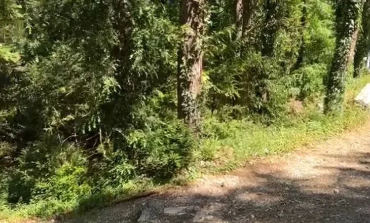 Sinjal SOS nga mali i Çikës, dy turistë gjermanë humbin orientimin, nis operacioni i kërkim-shpëtimit