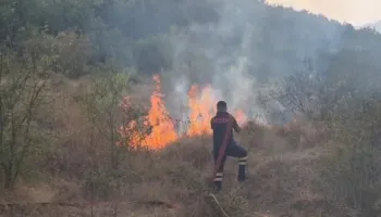 Situata/ Dajti vijon të digjet, zjarre edhe në Dibër Korçë dhe Durrës