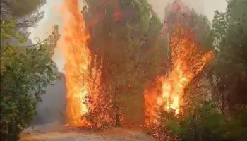Situata e zjarreve në vend, riaktivizohet vatra në Drenie të Patosit; në Pukë flakët kërcënojnë ‘kurorën e gjelbër’