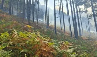 Situata me zjarret në vend, situatë kritike në fshatrat e Ulzës