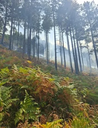 Situata me zjarret në vend, situatë kritike në fshatrat e Ulzës