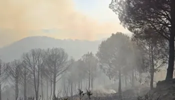 Situatë alarmante në Rriban të Mallakastrës, zjarri i afrohet banesave