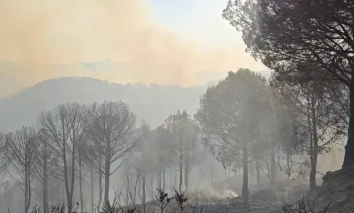 Situatë alarmante në Rriban të Mallakastrës, zjarri i afrohet banesave