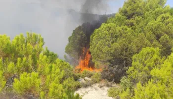 Situatë e rrezikshme në Mallakastër, flakët përhapen me shpejtësi