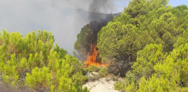 Situatë e rrezikshme në Mallakastër, flakët përhapen me shpejtësi