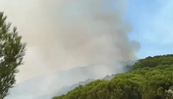 Situatë e vështirë në Drenie të Mallakastrës, zjarri po përparon drejt fshatrave të Patosit