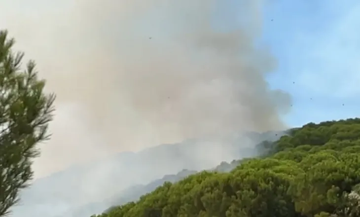 Situatë e vështirë në Drenie të Mallakastrës, zjarri po përparon drejt fshatrave të Patosit