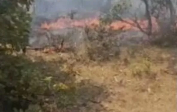 Situatë kritike me vatrën e zjarrit në Lufaj të Matit, era e favorizon dhe flakët përparojnë drejt zonave të banuara!
