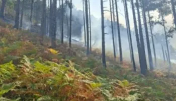 Situatë kritike me zjarret në malësitë e Matit dhe Bulqizës, ndërhyrje edhe nga ajri me helikopter!