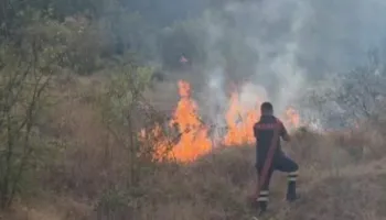 Situatë kritike me zjarret në Ulëz të Matit, rrezikohen disa banesa në fshatin Lundre