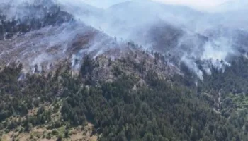 Situatë kritike me zjarret në zonën e Lurës, flakët favorizohen nga era dhe i afrohen banesave! Forca, avionë dhe ambulancë në aksion, dyshohet i qëllimshëm