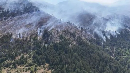 Situatë kritike me zjarret në zonën e Lurës, flakët favorizohen nga era dhe i afrohen banesave! Forca, avionë dhe ambulancë në aksion, dyshohet i qëllimshëm