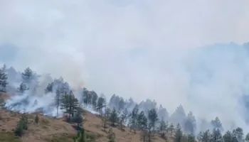 Situatë kritike me zjarrin në Gojan, flakët kërcënojnë shtëpitë! Bashkia e Pukës urdhëron evakuimin urgjent të banorëve: Ju rrezikohet jeta