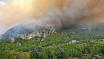 Situatë kritike në Fushë-Krujë, zjarri përfshin pyllin në shpatin e malit, rrezikohen 30 banesa