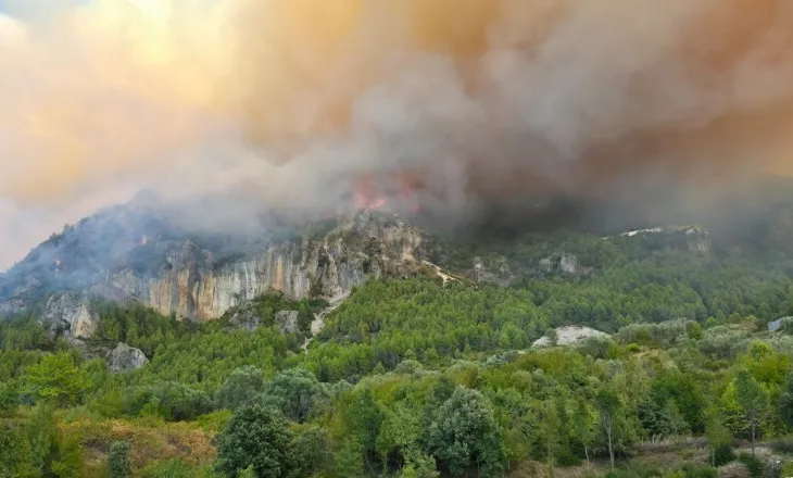 Situatë kritike në Fushë-Krujë, zjarri përfshin pyllin në shpatin e malit, rrezikohen 30 banesa