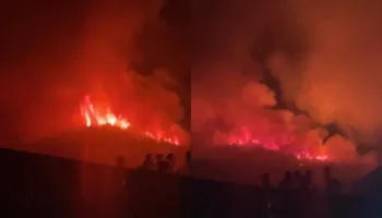 Situatë kritike në Gojan të Pukës, zjarri përpin malin dhe kërcënon fshatrat