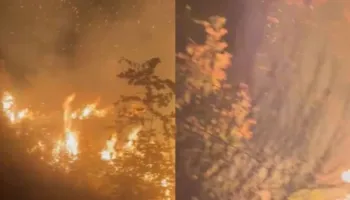 Situatë kritike nga zjarret në Lurë! Flakët jashtë kontrollit, rrezikojnë banesa të banuara