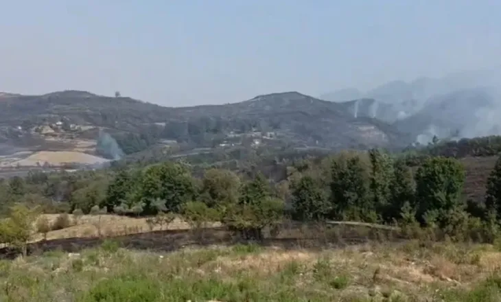 Situatë kritike nga zjarri në Priskë, ndërpritet energjia elektrike, stakohet dhe furnizimi me ujë për zonën e Lundrës