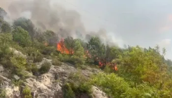 Situatë kritike pas riaktivizimit të zjarrit në Abazaj të Krujës, rrezik dhe për banesat! Kërkohet ndërhyrja me helikopter