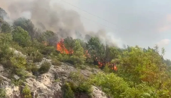 Situatë kritike pas riaktivizimit të zjarrit në Abazaj të Krujës, rrezik dhe për banesat! Kërkohet ndërhyrja me helikopter