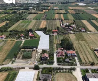 Skema e Investimeve, fermerja në Lushnjë nis ndërtimin e një serre të re, synon tregjet europiane