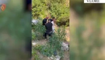 S’ndalet kultivimi i kanabisit, zbulohet parcela në Dukat