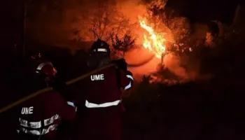 Spanja në alarm nga zjarret! Mbi 244 mijë hektarë të përfshirë nga flakët