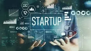 Startup-et e financuara me grante rrisin punësimin, të ardhurat dhe klientët