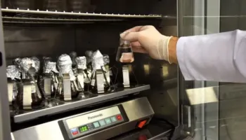Studiuesit australianë rritin ind të valvulës së zemrës njerëzore nga qelizat staminale