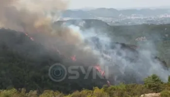 SYRI TV/ Zjarr në Priskë të madhe, digjen pyje, banori: Po përpiqem të shpëtoj ç‘ka mbetur