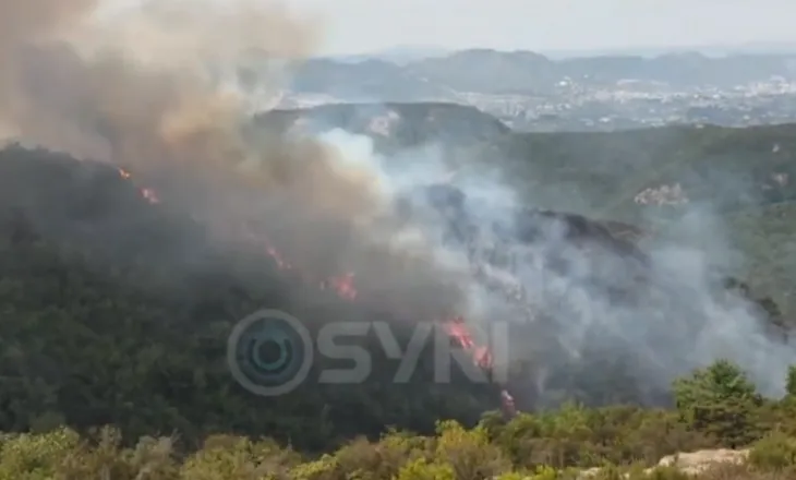 SYRI TV/ Zjarr në Priskë të madhe, digjen pyje, banori: Po përpiqem të shpëtoj ç‘ka mbetur